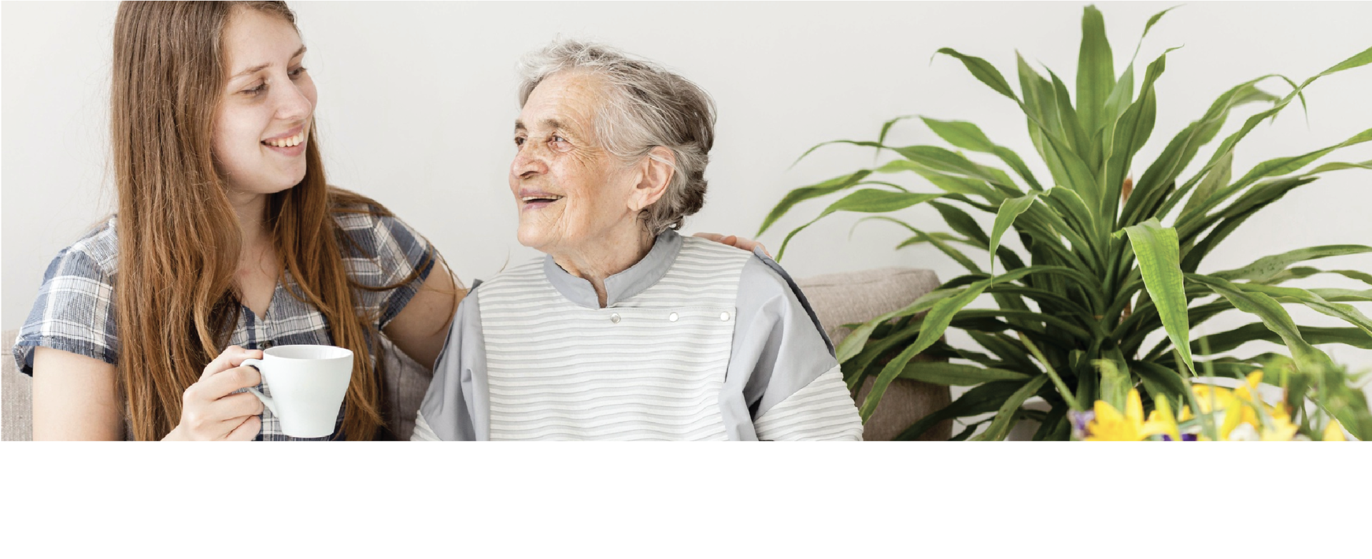 Cuidado adulto mayor, botón de pánico,